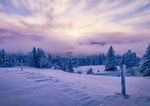 雪地