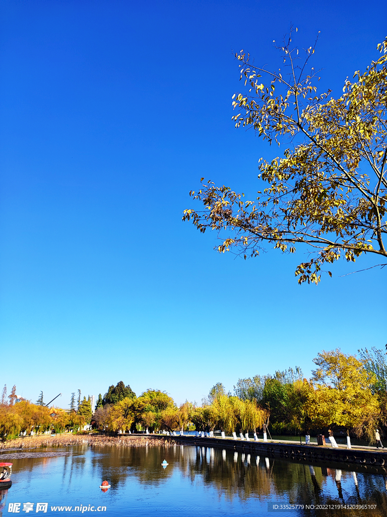 风景