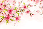 桃花素材