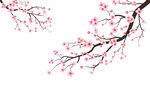 梅花素材