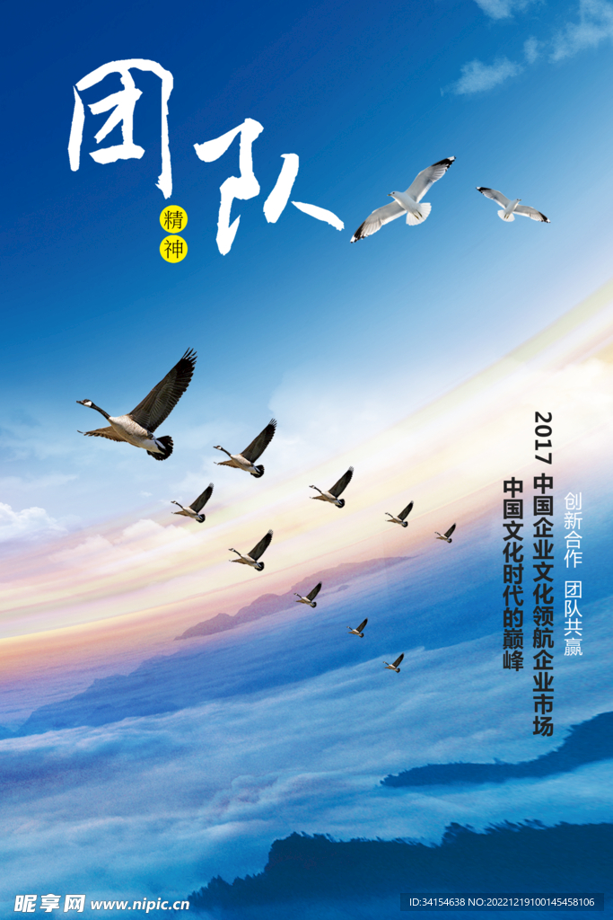 团队
