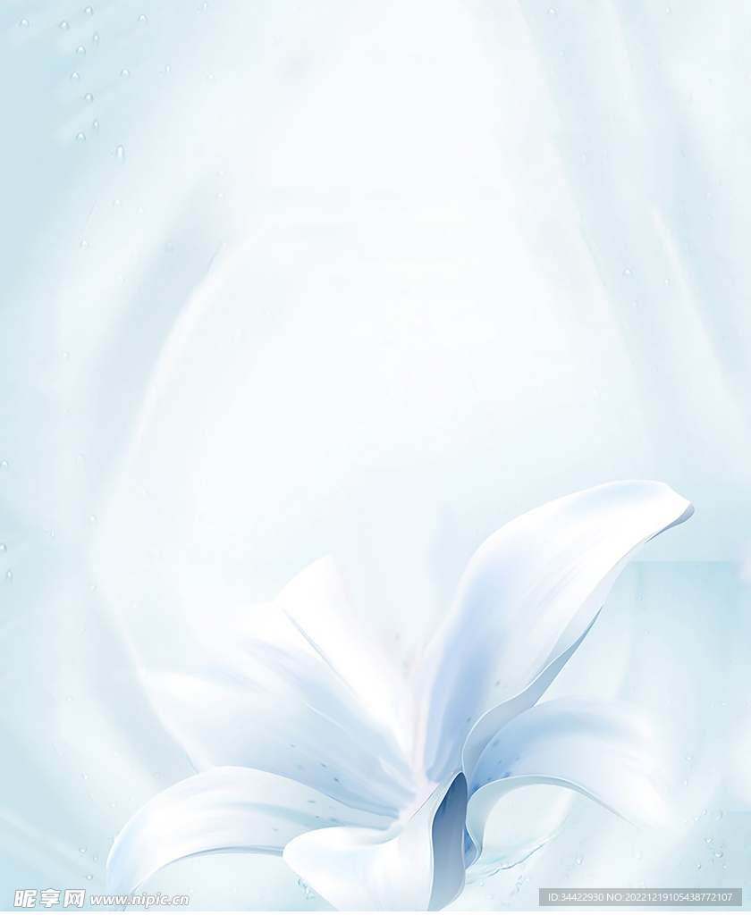 兰花