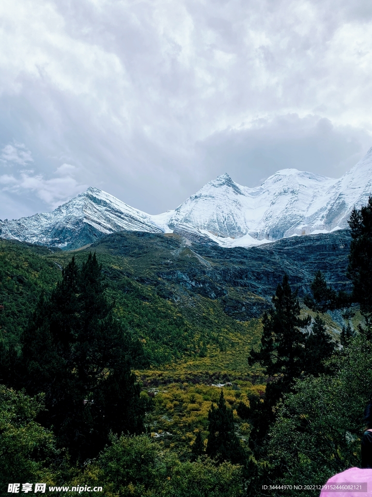 雪山森林