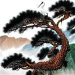 国画松树