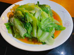 有机蔬菜生菜