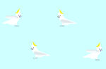 鹦鹉