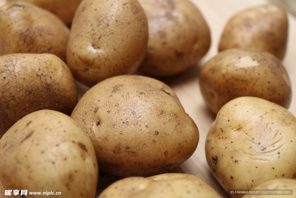 土豆 