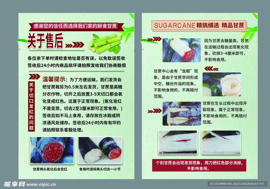 甘蔗