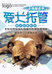 爱犬托管