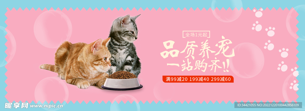 宠物
