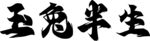 玉兔半生 字体设计