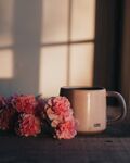 鲜花水杯