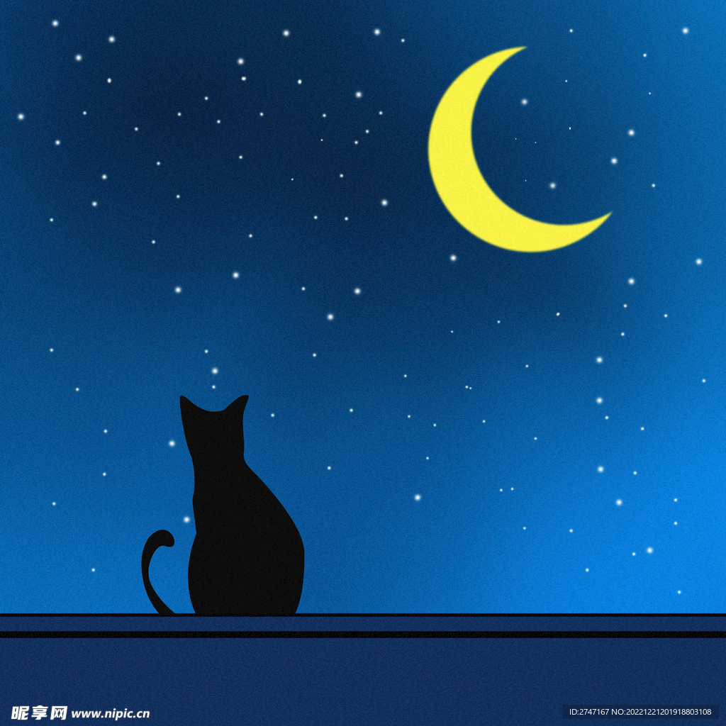 夜晚星空下窗台上的猫
