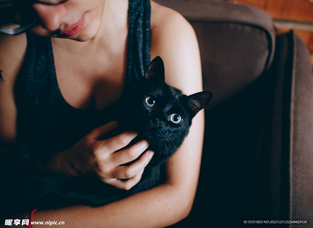 猫
