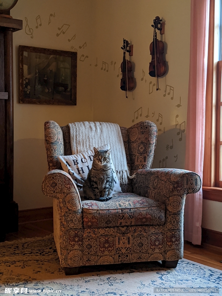 猫