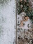 雪地