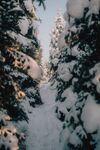 雪地