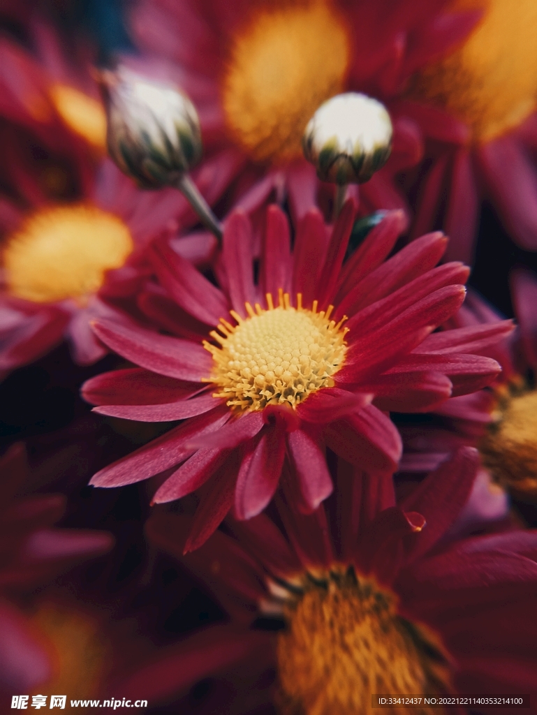 花