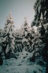 雪地