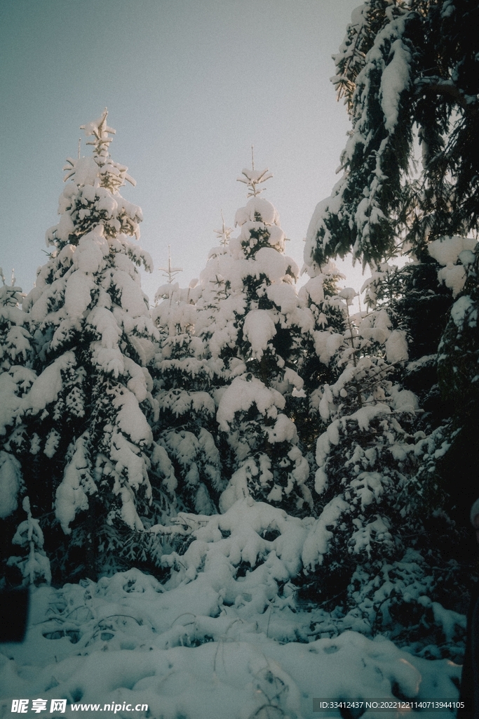 雪地