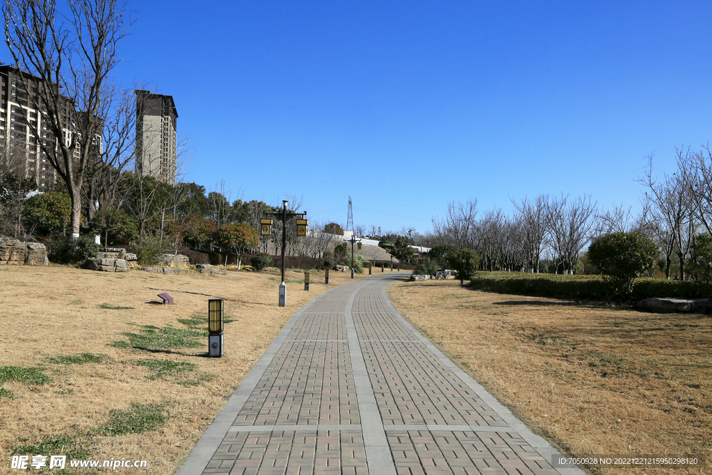 公园景观步道