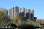 高楼林立