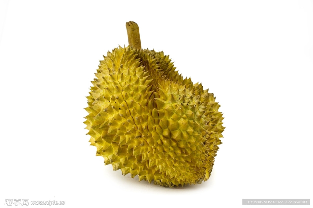 榴莲