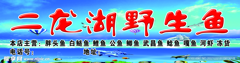 野生鱼