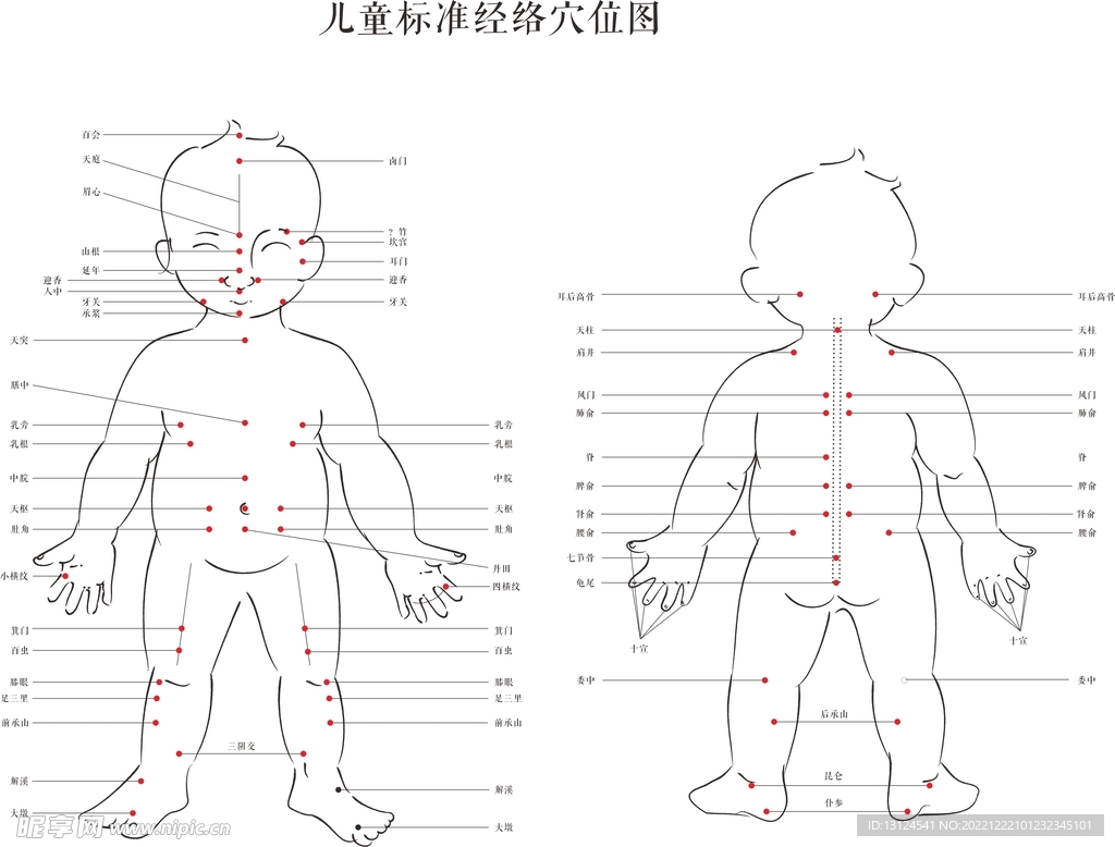 儿童穴位图