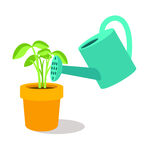 植物  