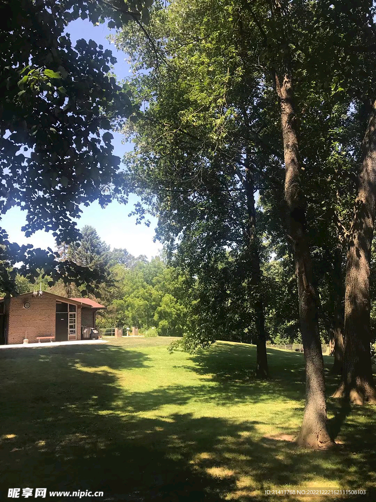 清新自然风景 