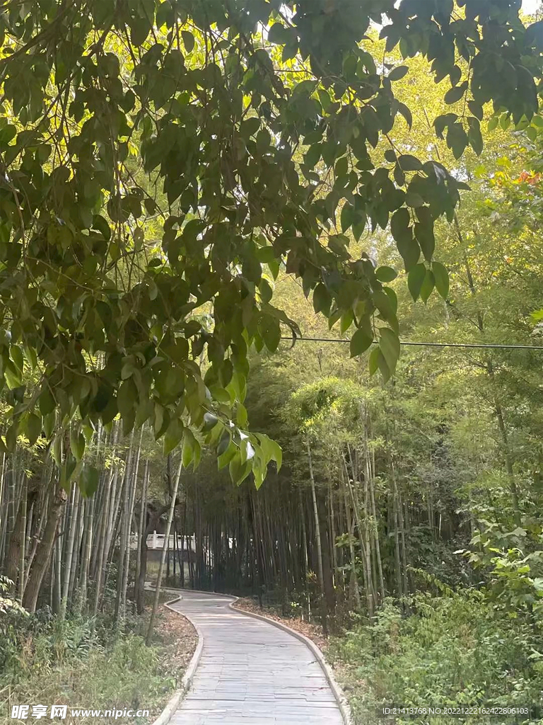 山路风景 
