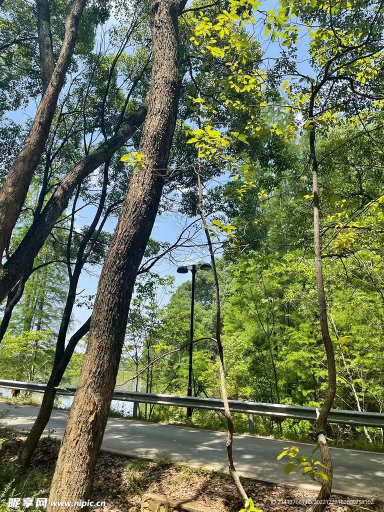 清新自然风景 