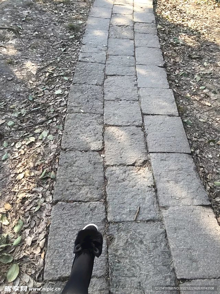 山路风景 土