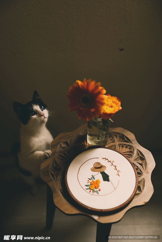 猫