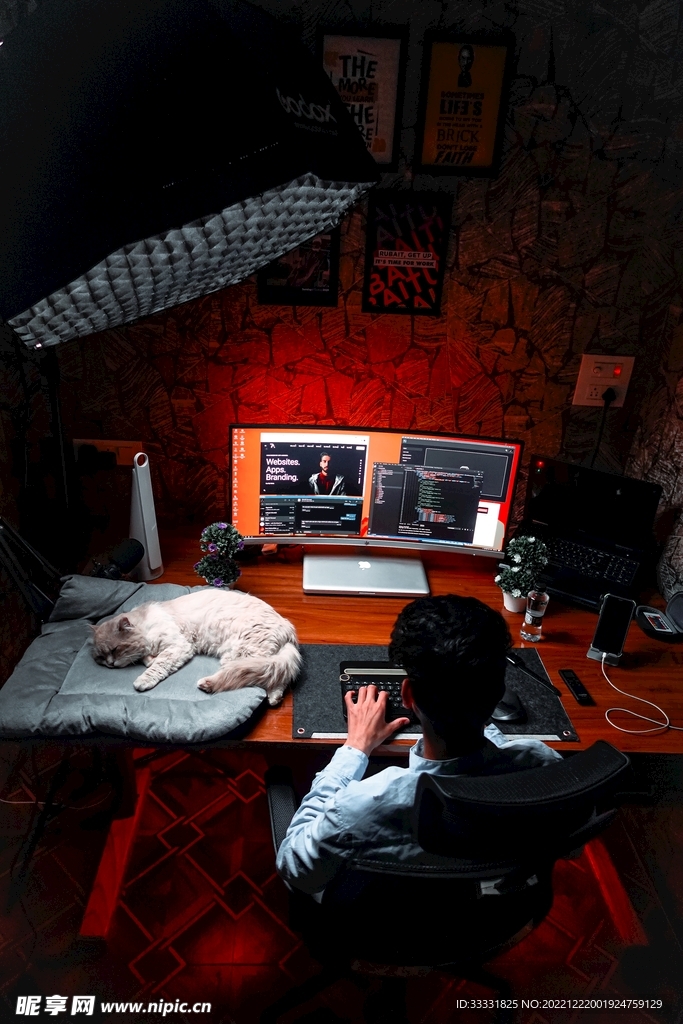 猫