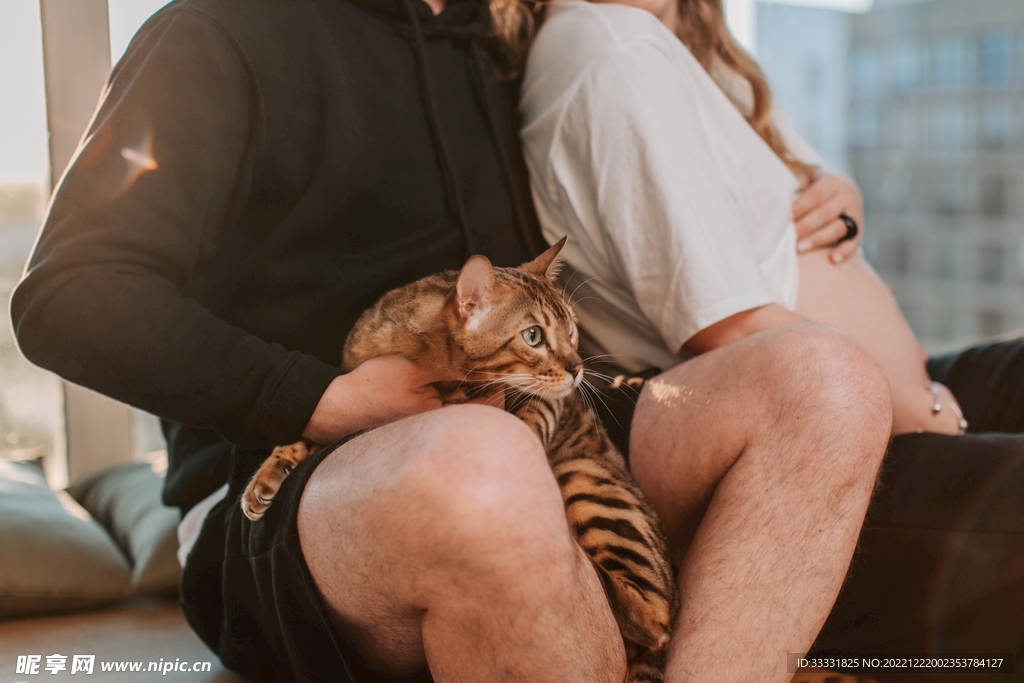 猫