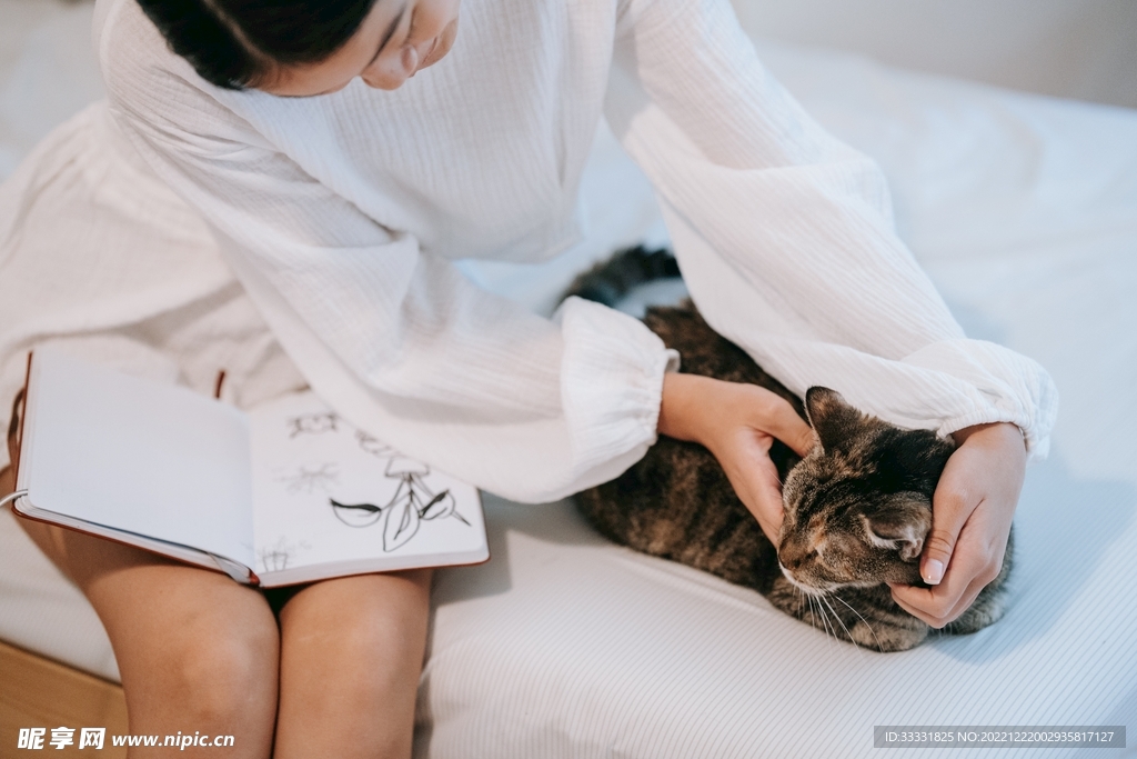猫