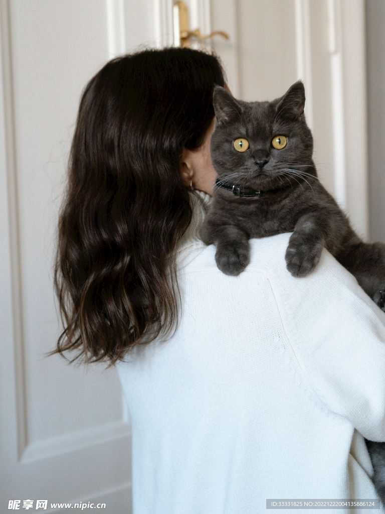 猫