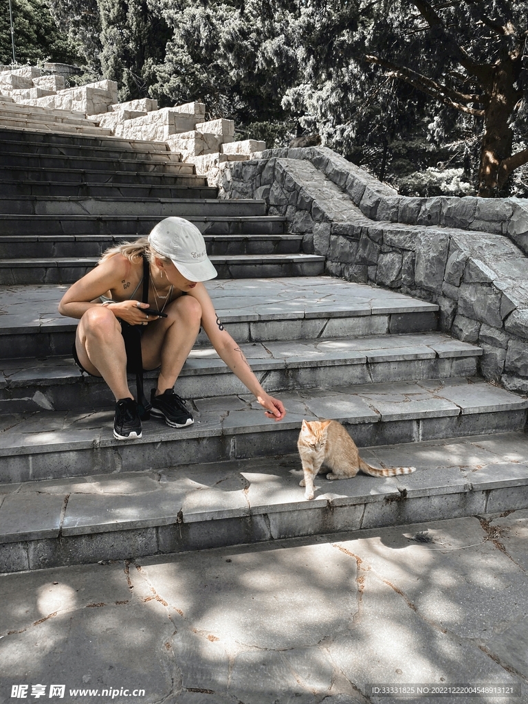 猫