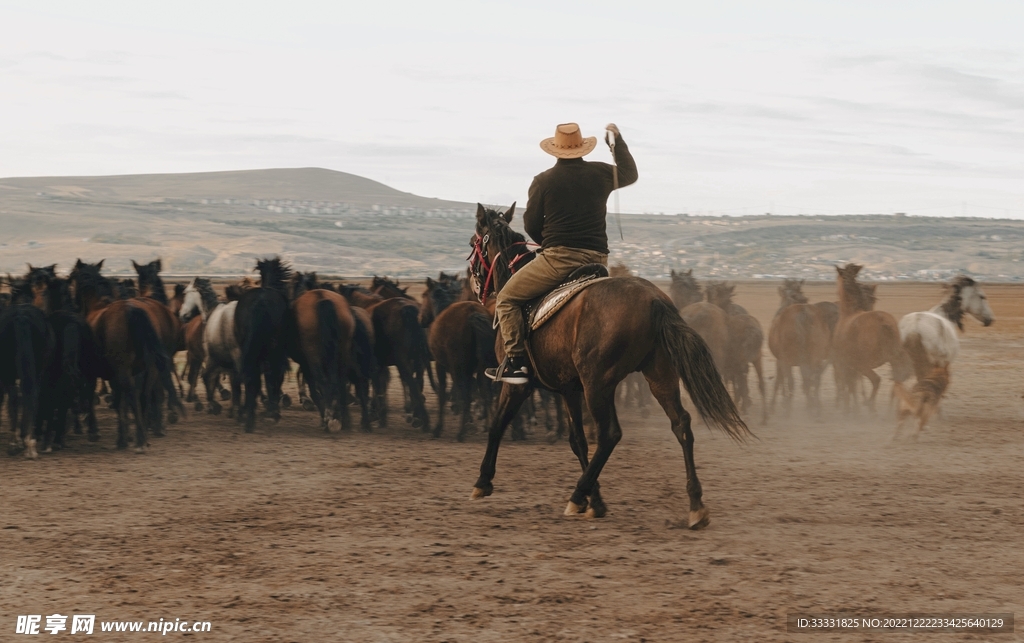 马