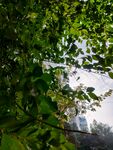 阳光