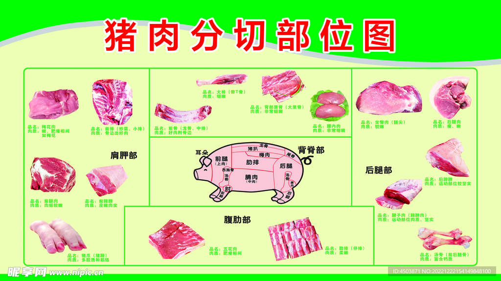 猪肉分切部位图