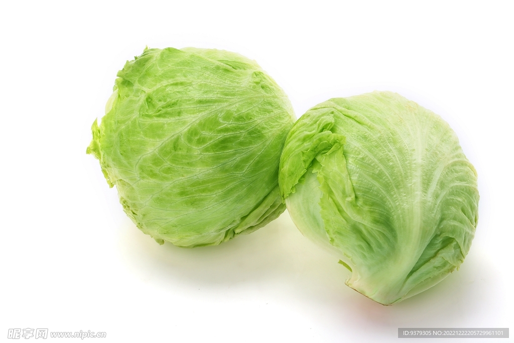 生菜