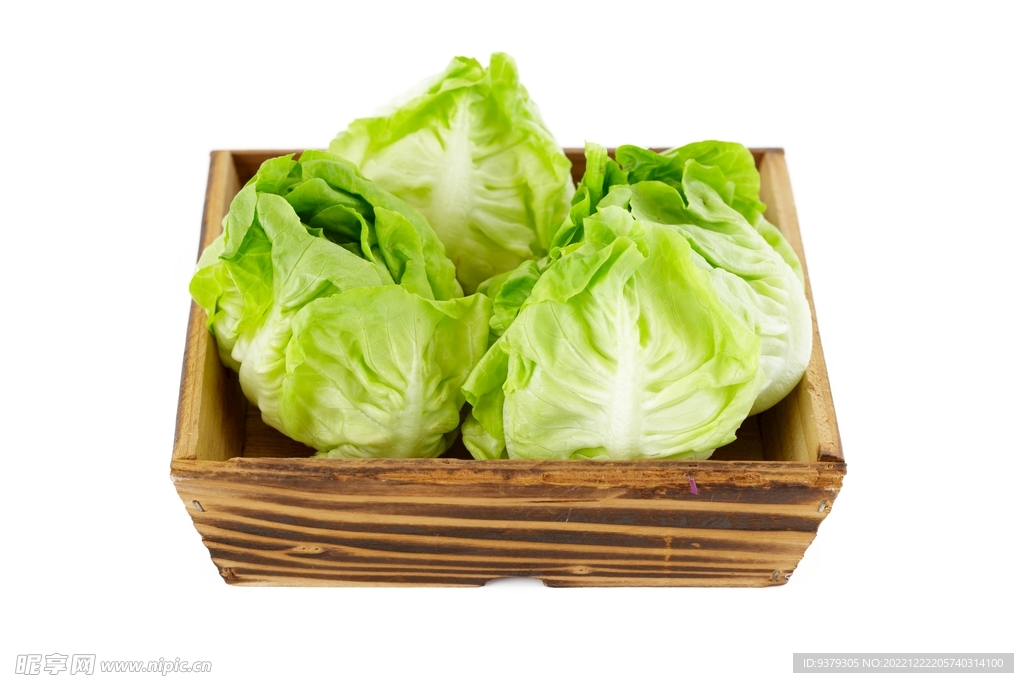 生菜