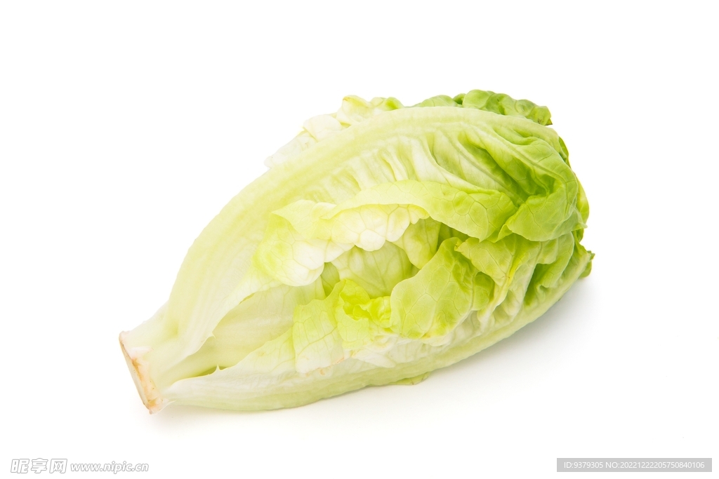 生菜 