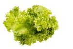 生菜