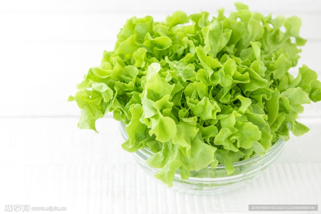 生菜 