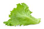 生菜