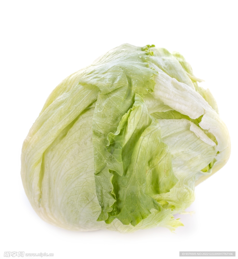 生菜 